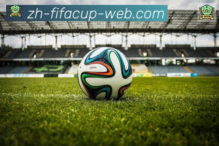 FIFA世界杯赛程官方网站荣誉